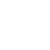 network_node_50dp_FFFFFF_FILL0_wght400_GRAD0_opsz48
